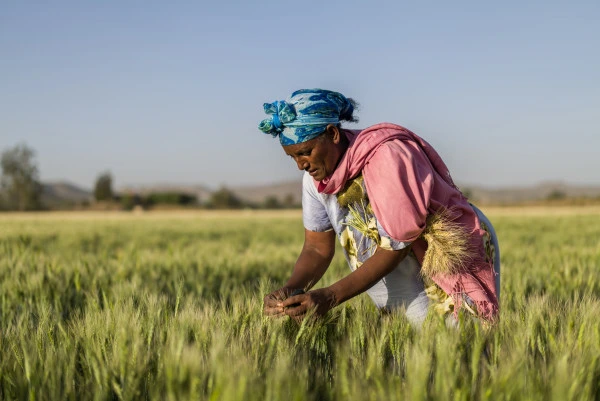 African development projects